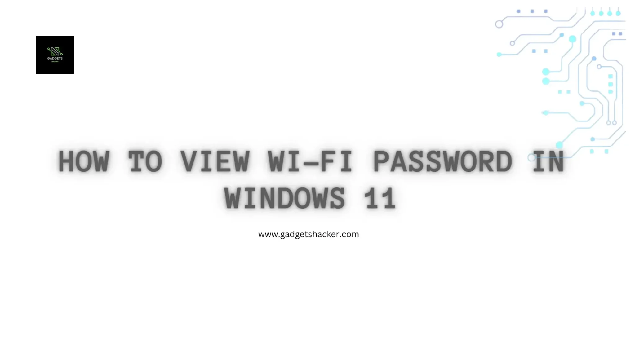 How to view Wi-Fi password in Windows 11